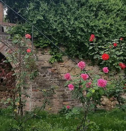 La Casa Del Conte Gasthuis Guarene