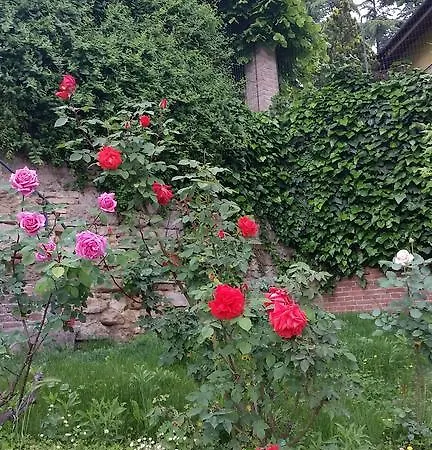 La Casa Del Conte Gasthuis Guarene