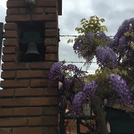 La Casa Del Conte